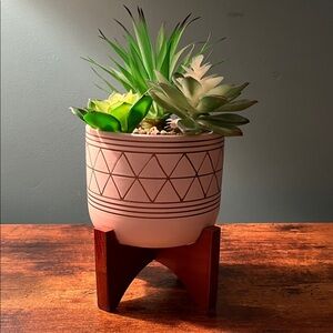 Succulent planter with wooden stand